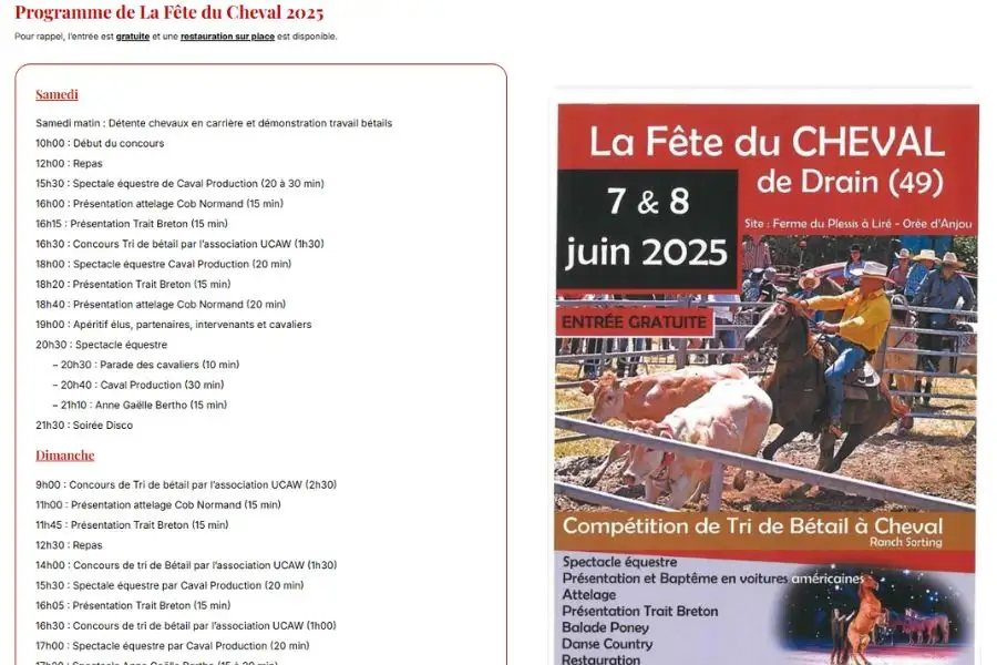 Projet de webdesign, conception de site web et référencement SEO - Fête du Cheval